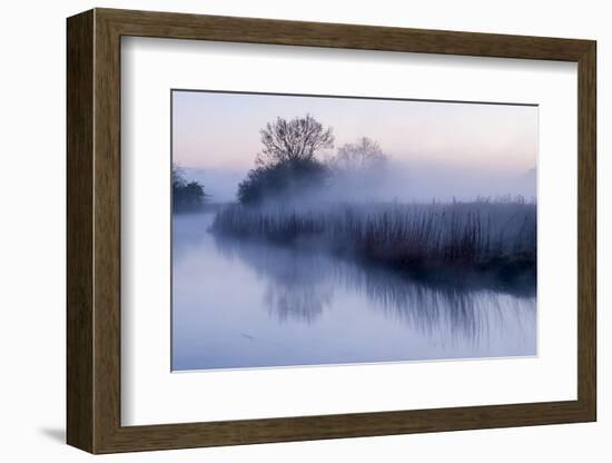 River Stour with Early Morning Mist and Frost, Near Wimborne Minster, Dorset, UK. April 2012-Ross Hoddinott-Framed Photographic Print