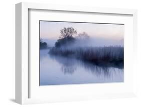 River Stour with Early Morning Mist and Frost, Near Wimborne Minster, Dorset, UK. April 2012-Ross Hoddinott-Framed Photographic Print