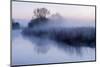 River Stour with Early Morning Mist and Frost, Near Wimborne Minster, Dorset, UK. April 2012-Ross Hoddinott-Mounted Photographic Print