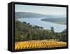 River Tamar, Tamar Valley, Tasmania, Australia, Pacific-Jochen Schlenker-Framed Stretched Canvas