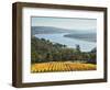 River Tamar, Tamar Valley, Tasmania, Australia, Pacific-Jochen Schlenker-Framed Photographic Print