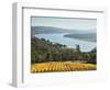 River Tamar, Tamar Valley, Tasmania, Australia, Pacific-Jochen Schlenker-Framed Photographic Print