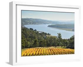 River Tamar, Tamar Valley, Tasmania, Australia, Pacific-Jochen Schlenker-Framed Photographic Print