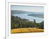 River Tamar, Tamar Valley, Tasmania, Australia, Pacific-Jochen Schlenker-Framed Photographic Print