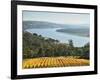 River Tamar, Tamar Valley, Tasmania, Australia, Pacific-Jochen Schlenker-Framed Photographic Print