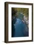 River Tara with Trees on Banks, Kandija Area, Durmitor Np, Montenegro, October 2008-Radisics-Framed Photographic Print