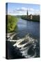 River Tay and Perth, Scotland-Peter Thompson-Stretched Canvas