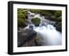 River Teign, Dartmoor National Park, Devon, England, United Kingdom, Europe-Jeremy Lightfoot-Framed Photographic Print