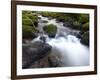 River Teign, Dartmoor National Park, Devon, England, United Kingdom, Europe-Jeremy Lightfoot-Framed Photographic Print