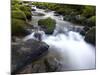 River Teign, Dartmoor National Park, Devon, England, United Kingdom, Europe-Jeremy Lightfoot-Mounted Photographic Print