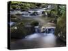 River Teign, Dartmoor National Park, Devon, England, United Kingdom, Europe-Jeremy Lightfoot-Stretched Canvas