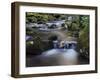 River Teign, Dartmoor National Park, Devon, England, United Kingdom, Europe-Jeremy Lightfoot-Framed Photographic Print