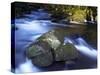 River Teign, Dartmoor National Park, Devon, England, United Kingdom, Europe-Jeremy Lightfoot-Stretched Canvas