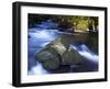 River Teign, Dartmoor National Park, Devon, England, United Kingdom, Europe-Jeremy Lightfoot-Framed Photographic Print