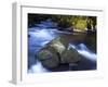 River Teign, Dartmoor National Park, Devon, England, United Kingdom, Europe-Jeremy Lightfoot-Framed Photographic Print