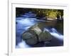 River Teign, Dartmoor National Park, Devon, England, United Kingdom, Europe-Jeremy Lightfoot-Framed Photographic Print