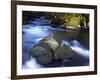 River Teign, Dartmoor National Park, Devon, England, United Kingdom, Europe-Jeremy Lightfoot-Framed Photographic Print