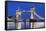 River Thames and Tower Bridge at Night, London, England, United Kingdom, Europe-Markus Lange-Framed Stretched Canvas