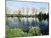 River Thames, Medmenham, Buckinghamshire, England, United Kingdom-David Hughes-Mounted Photographic Print