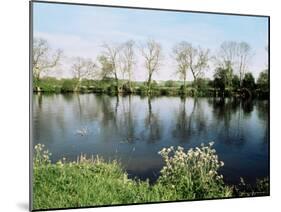 River Thames, Medmenham, Buckinghamshire, England, United Kingdom-David Hughes-Mounted Photographic Print