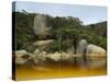 River, Tidal River, Wilsons Promontory, Victoria, Australia-Thorsten Milse-Stretched Canvas