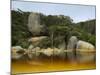 River, Tidal River, Wilsons Promontory, Victoria, Australia-Thorsten Milse-Mounted Photographic Print