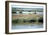 River Tigris from the Doorway of the Ruined Caliphs Palace, Samarra, Iraq, 1977-Vivienne Sharp-Framed Photographic Print