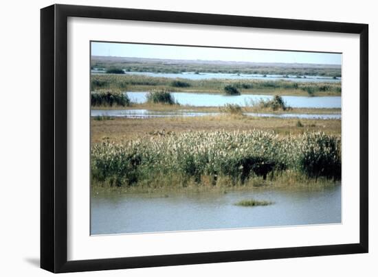 River Tigris from the Doorway of the Ruined Caliphs Palace, Samarra, Iraq, 1977-Vivienne Sharp-Framed Photographic Print