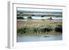 River Tigris from the Doorway of the Ruined Caliphs Palace, Samarra, Iraq, 1977-Vivienne Sharp-Framed Photographic Print