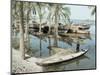 River Tigris, Near Qurna, Iraq, Middle East-null-Mounted Photographic Print