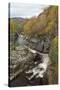 River Tromie Flowing Through Gorge in Autumn Woodland. Cairngorms National Park, Scotland, UK-Mark Hamblin-Stretched Canvas