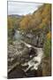 River Tromie Flowing Through Gorge in Autumn Woodland. Cairngorms National Park, Scotland, UK-Mark Hamblin-Mounted Photographic Print