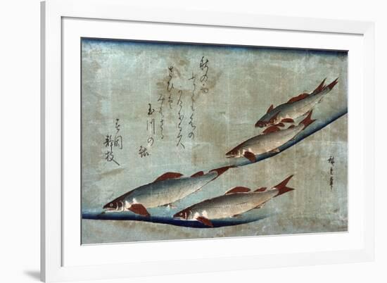 River Trout, Japanese Wood-Cut Print-Lantern Press-Framed Premium Giclee Print