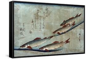 River Trout, Japanese Wood-Cut Print-Lantern Press-Framed Stretched Canvas