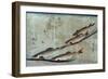 River Trout, Japanese Wood-Cut Print-Lantern Press-Framed Art Print