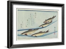 River Trouts in Stream, Early 19th Century-Utagawa Hiroshige-Framed Giclee Print