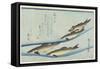 River Trouts in Stream, Early 19th Century-Utagawa Hiroshige-Framed Stretched Canvas