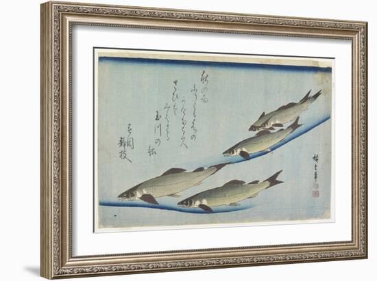 River Trouts in Stream, Early 19th Century-Utagawa Hiroshige-Framed Giclee Print