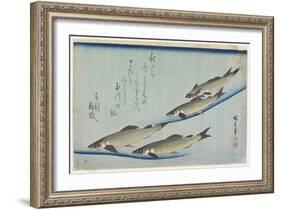 River Trouts in Stream, Early 19th Century-Utagawa Hiroshige-Framed Giclee Print