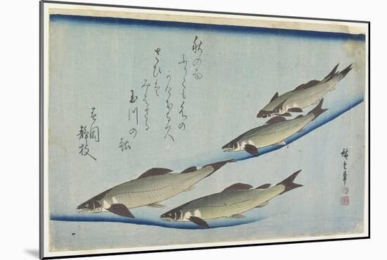 River Trouts in Stream, Early 19th Century-Utagawa Hiroshige-Mounted Giclee Print