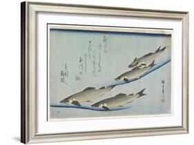 River Trouts in Stream, Early 19th Century-Utagawa Hiroshige-Framed Giclee Print