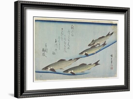 River Trouts in Stream, Early 19th Century-Utagawa Hiroshige-Framed Giclee Print