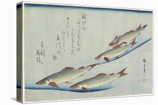 River Trouts in Stream-Utagawa Hiroshige-Stretched Canvas