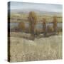 River Valley I-Tim OToole-Stretched Canvas