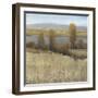 River Valley II-Tim OToole-Framed Art Print