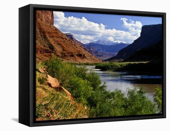 River Valley With View of Fisher Towers and La Sal Mountains, Utah, USA-Bernard Friel-Framed Stretched Canvas