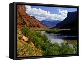 River Valley With View of Fisher Towers and La Sal Mountains, Utah, USA-Bernard Friel-Framed Stretched Canvas