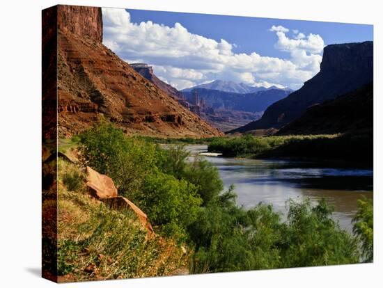 River Valley With View of Fisher Towers and La Sal Mountains, Utah, USA-Bernard Friel-Stretched Canvas