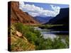 River Valley With View of Fisher Towers and La Sal Mountains, Utah, USA-Bernard Friel-Stretched Canvas