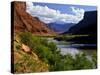 River Valley With View of Fisher Towers and La Sal Mountains, Utah, USA-Bernard Friel-Stretched Canvas